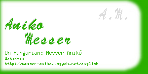 aniko messer business card